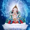 星月的头像