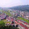 叶府大公主的头像