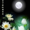 静默如初的头像