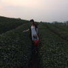 茶兰緣<div class=