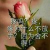 眷恋着那份宁静的头像