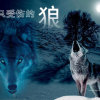 血色浪漫的头像