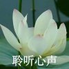 @【s44】~吉克曲子的头像