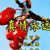嘹亮哥的头像
