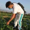 土农民小赵的头像