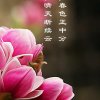 漂浮的水草的头像