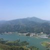 橙子叶子的头像