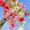 ꧁❦平❦꧂的头像