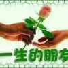随缘的头像