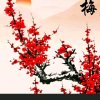 梅花的头像