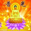 @佛语禅心 停币）的头像