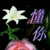 懂伱的头像