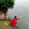 秋后枫叶的头像