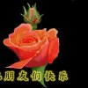 一路上有你的头像