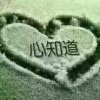 再见只是陌生人的头像