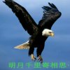 时光荏苒的头像