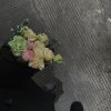 ah的头像