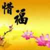 惜福的头像