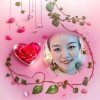 彩虹桥下的头像