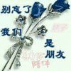 心雨@的头像