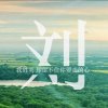 云辉刘军的头像