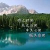 缘梦玉梅的头像