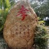 要幸福哦！的头像