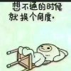 懵懂的头像