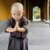 战狼传说的头像