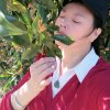 月忙暂时离开。的头像