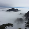 韩家锟（相互尊重、有访必回）的头像