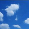 蓝天白云的头像