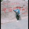 真心换真情的头像