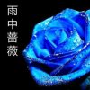 上善若水雨薇的头像