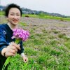 烟暖雨收的头像