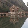 孤鸟的头像