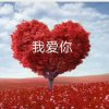 依然爱你的头像
