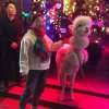 龙圣燕玲的头像