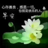 飞鹰（互动部实习）同在蓝天的头像