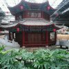 孤独怀念的头像