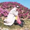燕子的头像
