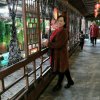 小金金的头像