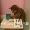 䬡歟的头像