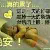 :-向:-)青:-&bsol;春::-*致;-敬:-):@的头像