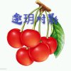 邀玥对影的头像