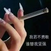 夕阳下的太阳花，最美的头像