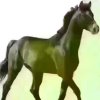 ALUN的头像