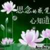 心想事成的头像