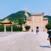 风灵的头像