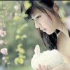 杏雪的头像